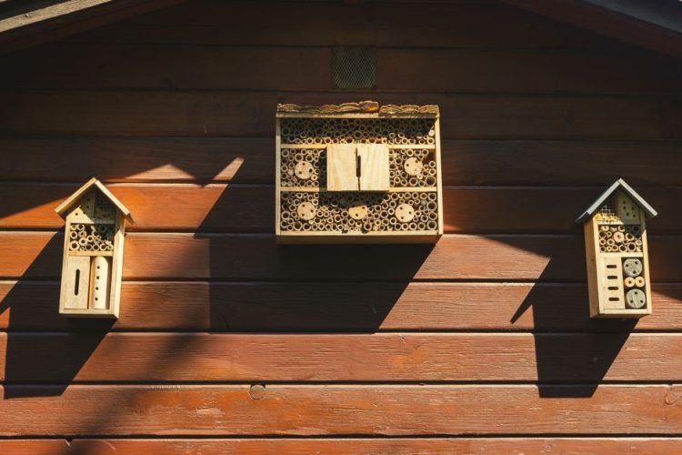 DIY: Bouw een insectenhotel voor ecologisch tuinplezier